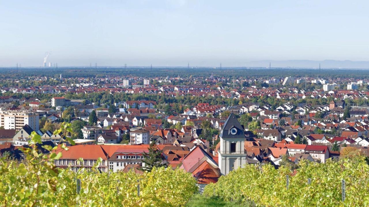 Grosse Ferienwohnung, Apartment In Leimen Wehome Komfort ภายนอก รูปภาพ